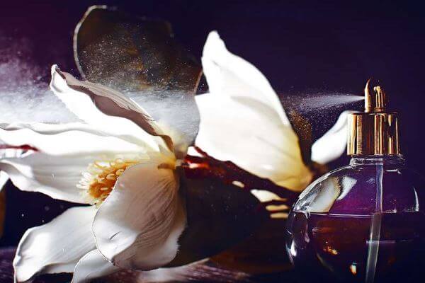 parfums parfums